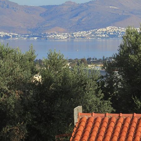 Asklipion Valley Guest House Kos-stad Buitenkant foto