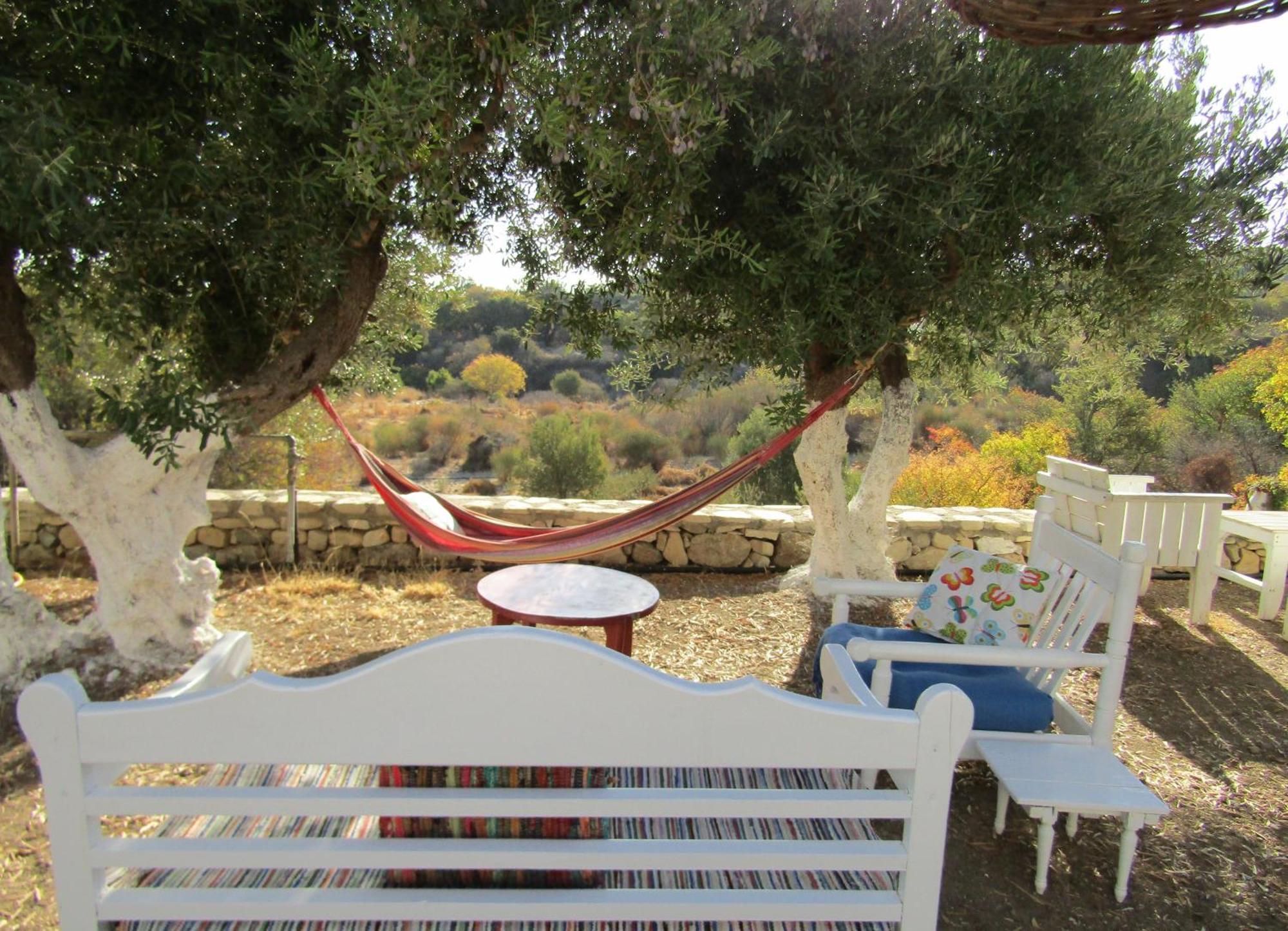 Asklipion Valley Guest House Kos-stad Buitenkant foto