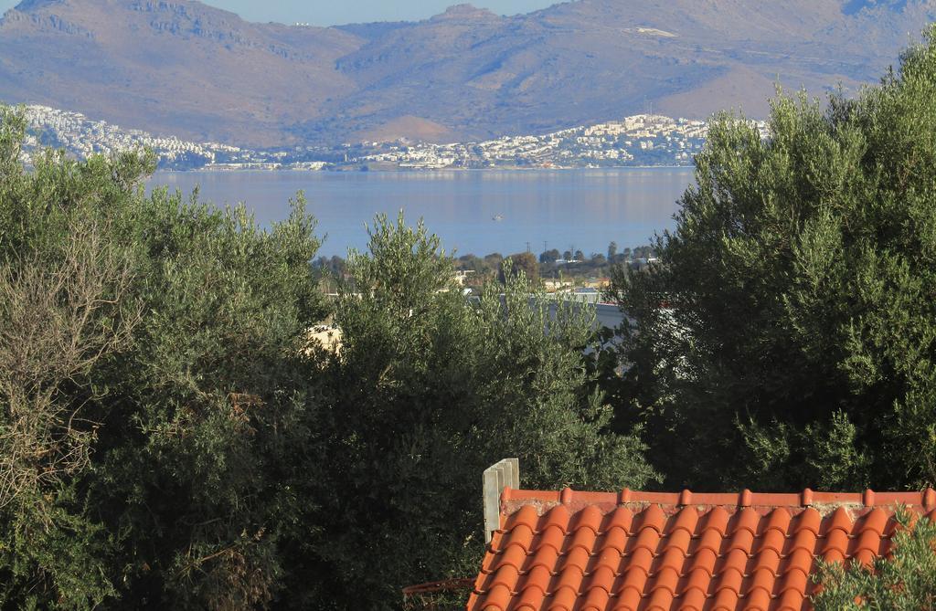 Asklipion Valley Guest House Kos-stad Buitenkant foto